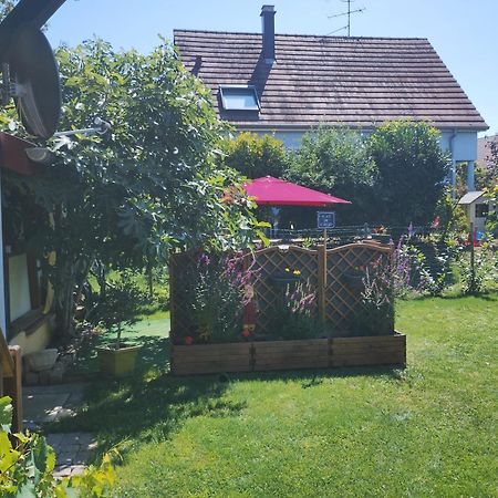 Gite Alsace Appenwihr Extérieur photo